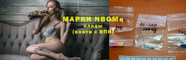 стаф Балахна
