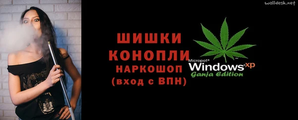 стаф Балахна