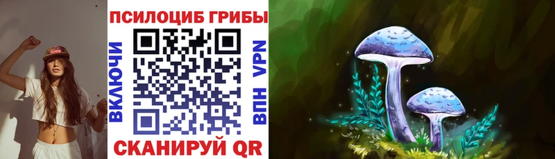 магазин    Белый  Галлюциногенные грибы Magic Shrooms 